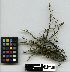 ( - TUR 104968)  @11 [ ] Unspecified (default): All Rights Reserved  Unspecified Unspecified