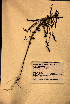  ( - VP-2a)  @11 [ ] No Rights Reserved (2014) Unspecified Columbus State University, GA