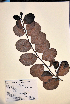 ( - VP-37b)  @11 [ ] No Rights Reserved (2014) Unspecified Columbus State University, GA