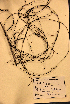 ( - VP-4a)  @11 [ ] No Rights Reserved (2014) Unspecified Columbus State University, GA