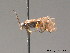  ( - BC ZSM HYM 09358)  @12 [ ] CreativeCommons - Attribution Non-Commercial Share-Alike (2015) Unspecified SNSB, Zoologische Staatssammlung Muenchen