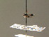  ( - BC ZSM DIP 00945)  @11 [ ] CreativeCommons - Attribution Non-Commercial Share-Alike (2010) Stefan Schmidt SNSB, Zoologische Staatssammlung Muenchen