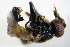  ( - DIP 02753)  @12 [ ] CreativeCommons - Attribution Non-Commercial Share-Alike (2015) Unspecified SNSB, Zoologische Staatssammlung Muenchen