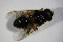  ( - DIP 03302)  @12 [ ] CreativeCommons - Attribution Non-Commercial Share-Alike (2015) Unspecified SNSB, Zoologische Staatssammlung Muenchen
