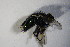 ( - DIP 04140)  @12 [ ] CreativeCommons - Attribution Non-Commercial Share-Alike (2015) Unspecified SNSB, Zoologische Staatssammlung Muenchen