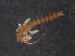  ( - NHMUK013266140)  @11 [ ] Unspecified (default): All Rights Reserved  Ben W Price Natural History Museum, London