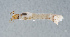  ( - NHMUK013269079)  @11 [ ] Unspecified (default): All Rights Reserved  Ben W Price Natural History Museum, London