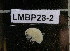 ( - LMBP28-002)  @13 [ ] Unspecified (default): All Rights Reserved  Unspecified Unspecified
