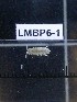  ( - LMBP6-001)  @11 [ ] Unspecified (default): All Rights Reserved  Unspecified Unspecified