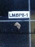  ( - LMBP8-001)  @11 [ ] Unspecified (default): All Rights Reserved  Unspecified Unspecified