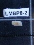  ( - LMBP8-002)  @11 [ ] Unspecified (default): All Rights Reserved  Unspecified Unspecified