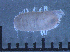  ( - LMBV32-001)  @11 [ ] Unspecified (default): All Rights Reserved  Unspecified Unspecified