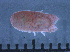  ( - LMBV32-002)  @11 [ ] Unspecified (default): All Rights Reserved  Unspecified Unspecified