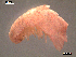  ( - NGIM2-001)  @13 [ ] CreativeCommons - Attribution Non-Commercial Share-Alike (2011) Luisa Borges Universidade do Minho