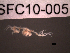  ( - SFC10-005)  @11 [ ] Unspecified (default): All Rights Reserved  Unspecified Unspecified