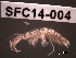  ( - SFC14-004)  @11 [ ] Unspecified (default): All Rights Reserved  Unspecified Unspecified