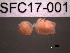  ( - SFC17-001)  @11 [ ] Unspecified (default): All Rights Reserved  Unspecified Unspecified