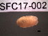  ( - SFC17-002)  @11 [ ] Unspecified (default): All Rights Reserved  Unspecified Unspecified