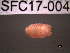 ( - SFC17-004)  @13 [ ] Unspecified (default): All Rights Reserved  Unspecified Unspecified