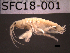  ( - SFC18-001)  @12 [ ] Unspecified (default): All Rights Reserved  Unspecified Unspecified