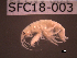  ( - SFC18-003)  @13 [ ] Unspecified (default): All Rights Reserved  Unspecified Unspecified