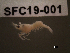 ( - SFC19-001)  @11 [ ] Unspecified (default): All Rights Reserved  Unspecified Unspecified