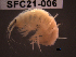  ( - SFC21-006)  @11 [ ] Unspecified (default): All Rights Reserved  Unspecified Unspecified