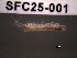  ( - SFC25-001)  @11 [ ] Unspecified (default): All Rights Reserved  Unspecified Unspecified