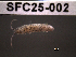  ( - SFC25-002)  @11 [ ] Unspecified (default): All Rights Reserved  Unspecified Unspecified