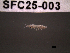 ( - SFC25-003)  @12 [ ] Unspecified (default): All Rights Reserved  Unspecified Unspecified