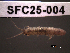  ( - SFC25-004)  @13 [ ] Unspecified (default): All Rights Reserved  Unspecified Unspecified