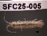  ( - SFC25-005)  @12 [ ] Unspecified (default): All Rights Reserved  Unspecified Unspecified