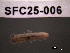  ( - SFC25-006)  @11 [ ] Unspecified (default): All Rights Reserved  Unspecified Unspecified