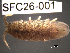  ( - SFC26-001)  @11 [ ] Unspecified (default): All Rights Reserved  Unspecified Unspecified