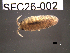  ( - SFC26-002)  @11 [ ] Unspecified (default): All Rights Reserved  Unspecified Unspecified