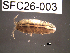  ( - SFC26-003)  @11 [ ] Unspecified (default): All Rights Reserved  Unspecified Unspecified