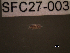  ( - SFC27-003)  @11 [ ] Unspecified (default): All Rights Reserved  Unspecified Unspecified
