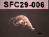  ( - SFC29-006)  @11 [ ] Unspecified (default): All Rights Reserved  Unspecified Unspecified