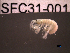  ( - SFC31-001)  @11 [ ] Unspecified (default): All Rights Reserved  Unspecified Unspecified