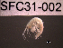  ( - SFC31-002)  @13 [ ] Unspecified (default): All Rights Reserved  Unspecified Unspecified