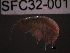  ( - SFC32-001)  @13 [ ] Unspecified (default): All Rights Reserved  Unspecified Unspecified