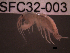  ( - SFC32-003)  @13 [ ] Unspecified (default): All Rights Reserved  Unspecified Unspecified
