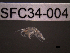  ( - SFC34-004)  @11 [ ] Unspecified (default): All Rights Reserved  Unspecified Unspecified