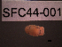  ( - SFC44-001)  @11 [ ] Unspecified (default): All Rights Reserved  Unspecified Unspecified