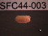  ( - SFC44-003)  @11 [ ] Unspecified (default): All Rights Reserved  Unspecified Unspecified