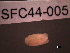  ( - SFC44-005)  @13 [ ] Unspecified (default): All Rights Reserved  Unspecified Unspecified