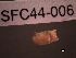  ( - SFC44-006)  @12 [ ] Unspecified (default): All Rights Reserved  Unspecified Unspecified