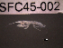  (Ericthonius sp - SFC45-002)  @11 [ ] Unspecified (default): All Rights Reserved  Unspecified Unspecified