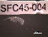  ( - SFC45-004)  @11 [ ] Unspecified (default): All Rights Reserved  Unspecified Unspecified