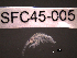  ( - SFC45-005)  @11 [ ] Unspecified (default): All Rights Reserved  Unspecified Unspecified